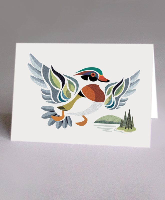 BARRY the Wood duck