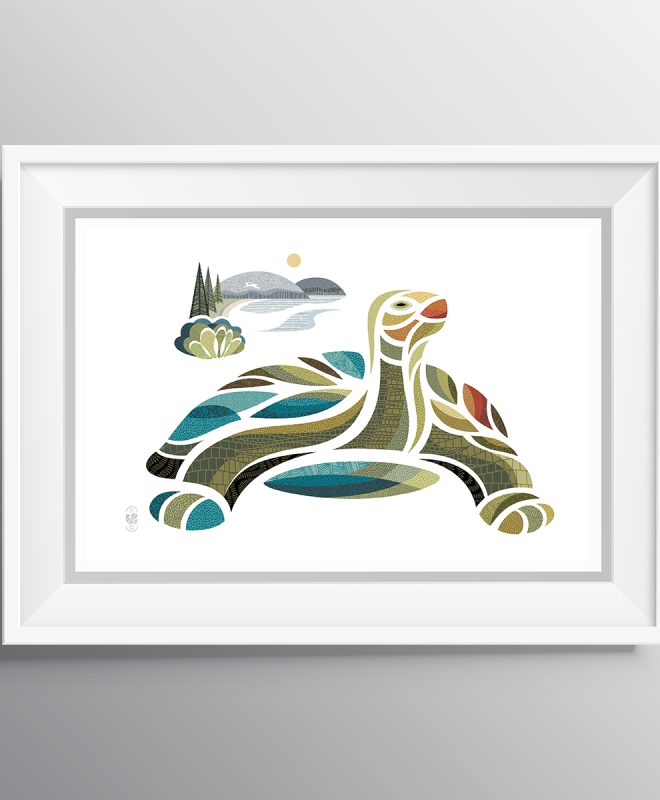 TOM the Turtle