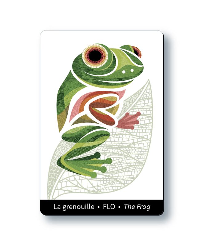 Aimant - FLO la grenouille