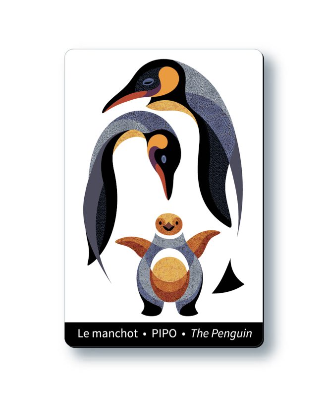 Aimant - PIPO le manchot