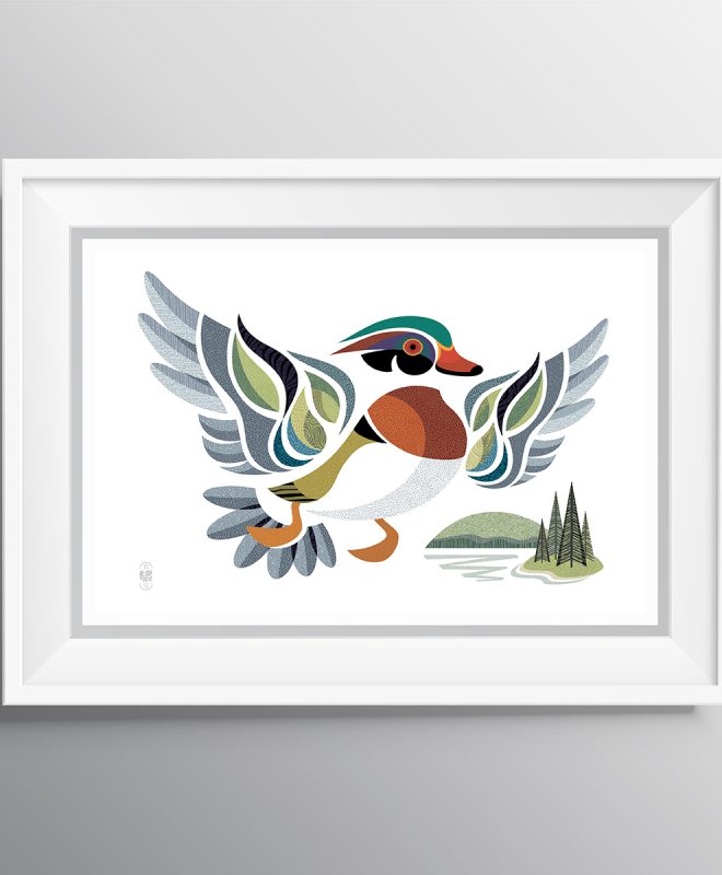 BARRY le canard